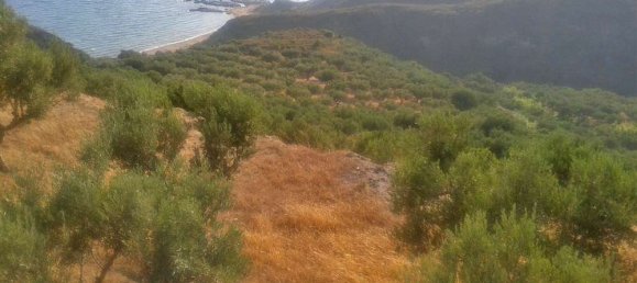  Land in Zakynthos, Greece No. 494 3