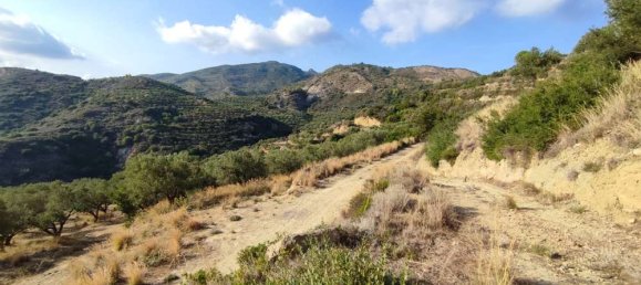  Land in Zakynthos, Greece No. 494 11