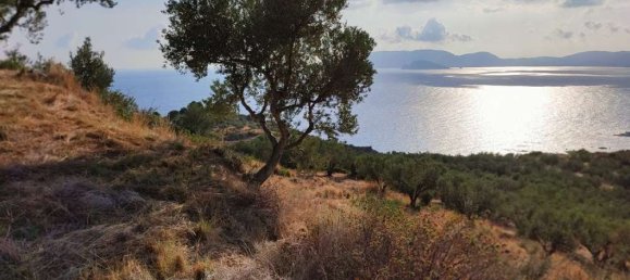  Land in Zakynthos, Greece No. 494 21