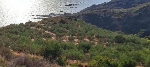  Land in Zakynthos, Greece No. 494 13