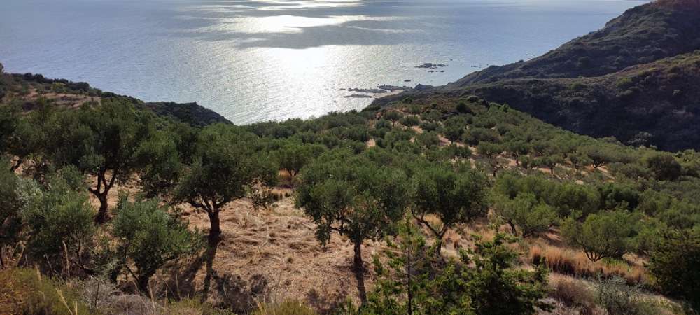  Land in Zakynthos, Greece No. 494