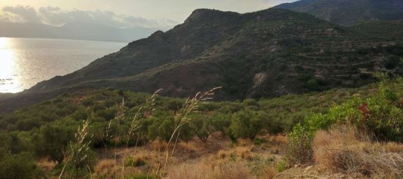  Land in Zakynthos, Greece No. 494 15