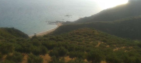  Land in Zakynthos, Greece No. 494 20