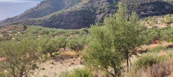  Land in Zakynthos, Greece No. 494 17