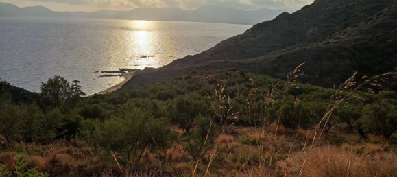  Land in Zakynthos, Greece No. 494 7