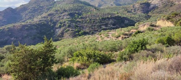  Land in Zakynthos, Greece No. 494 23