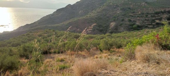  Land in Zakynthos, Greece No. 494 4