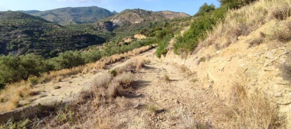  Land in Zakynthos, Greece No. 494 10