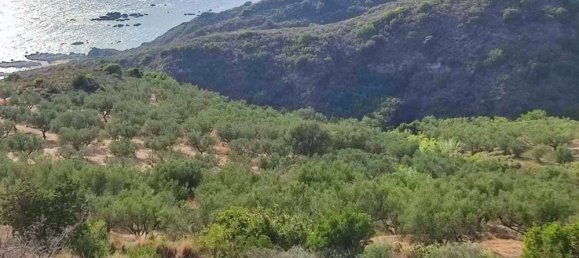  Land in Zakynthos, Greece No. 494 12