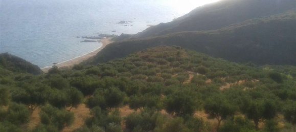  Land in Zakynthos, Greece No. 494 19