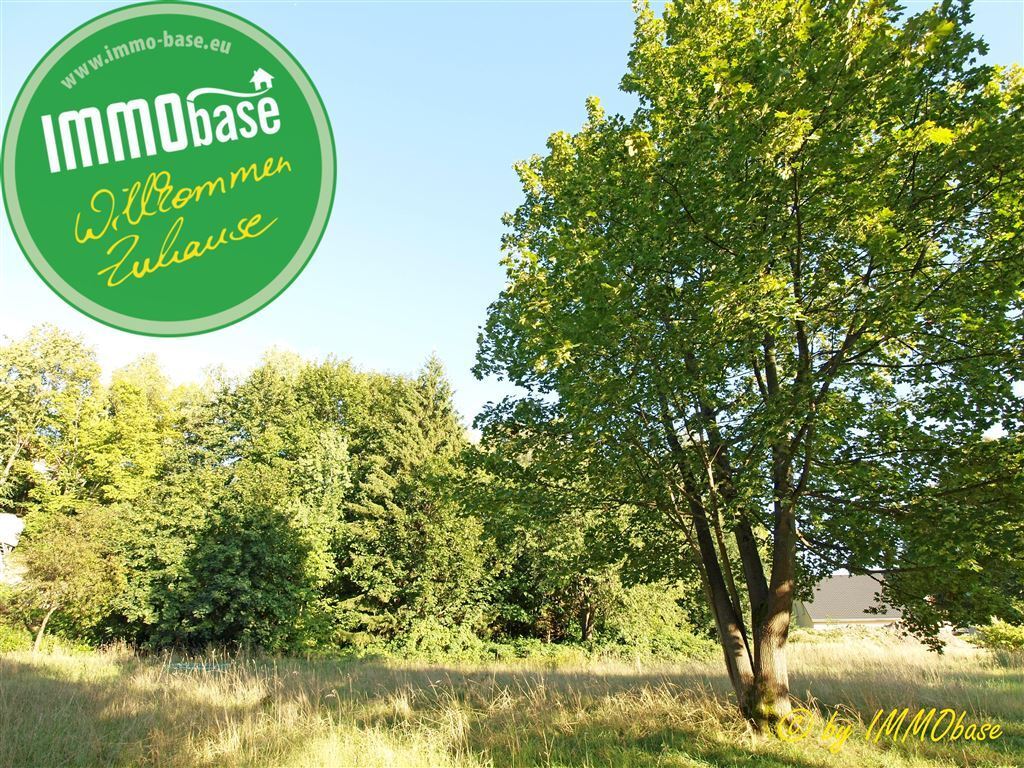 Grundstück in Mittelsachsen, Germany, Nr. 154249