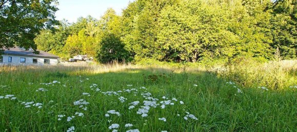 Grundstück in Mittelsachsen, Germany, Nr. 154249 3