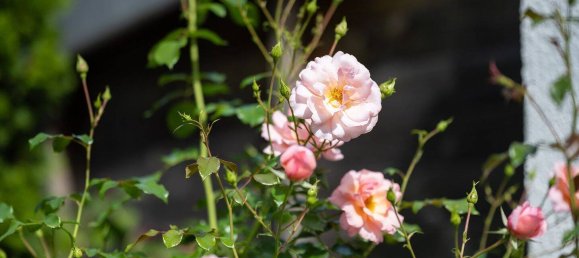 4 chambres Maison de ville à Freising, Germany No. 294097 46