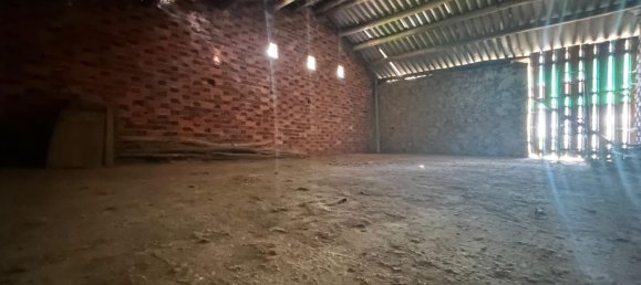 1 bedroom House in Pilona, Spain No. 168666 5