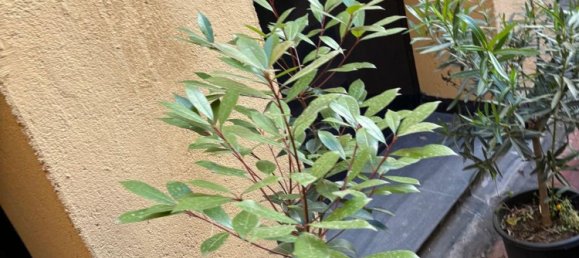 Bureau à Madrid, Spain 730m² No. 29324 31