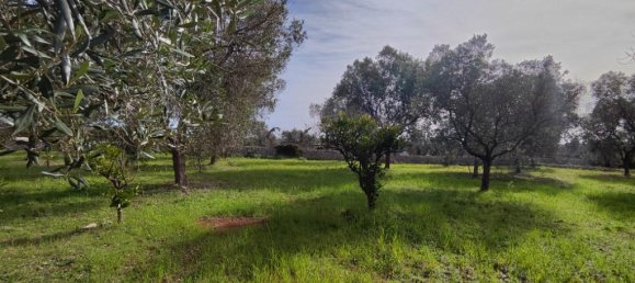 Terreno en Salve, Italy 8000 m² No. 232329 8