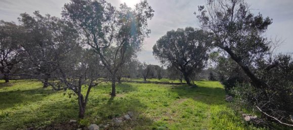 Terreno en Salve, Italy 8000 m² No. 232329 7