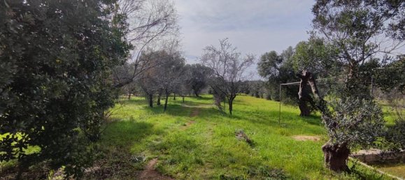 Terreno en Salve, Italy 8000 m² No. 232329 11