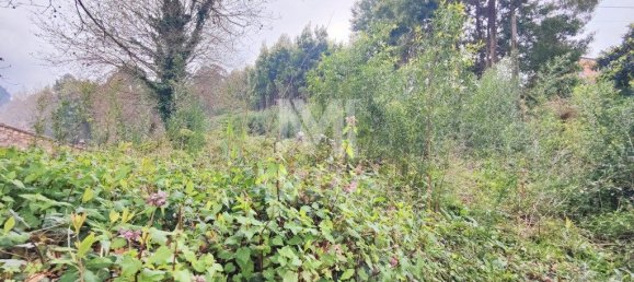 6010m² Land in Caminha, Portugal No. 81483 5