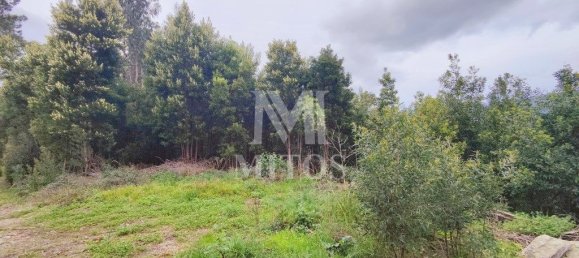 6010m² Land in Caminha, Portugal No. 81483 3