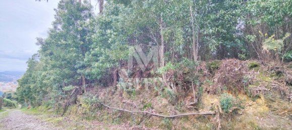 6010m² Land in Caminha, Portugal No. 81483 2