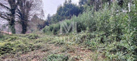 6010m² Land in Caminha, Portugal No. 81483 4