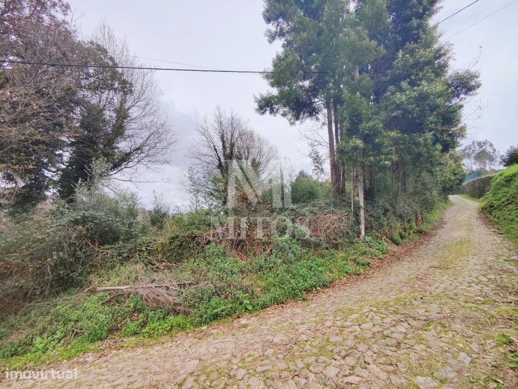 6010m² Land in Caminha, Portugal No. 81483