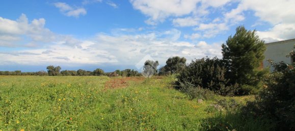 Studio in Ostuni, Italy, Nr. 41658 5