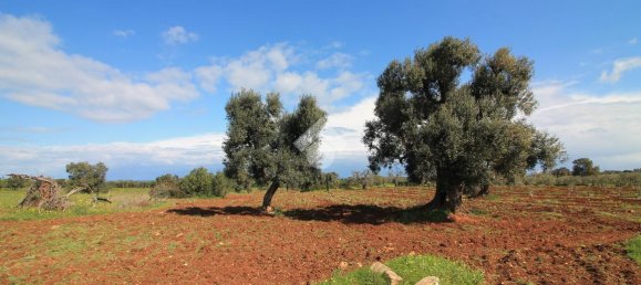 Studio in Ostuni, Italy, Nr. 41658 24
