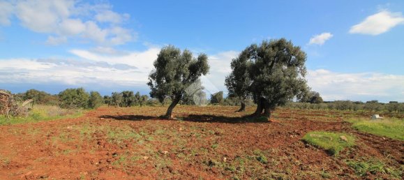 Studio in Ostuni, Italy, Nr. 41658 22