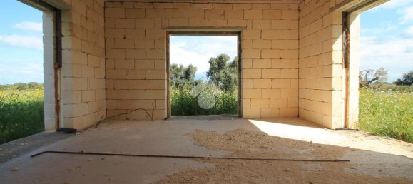 Studio in Ostuni, Italy, Nr. 41658 10