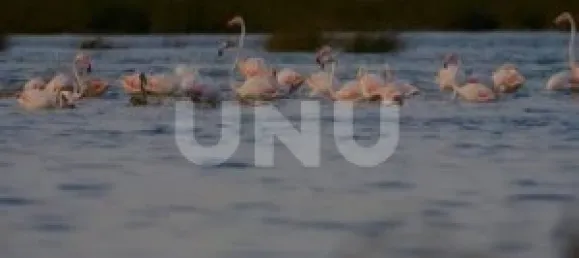 Terrain à Ovar, Portugal No. 86686 5