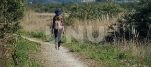 Terrain à Ovar, Portugal No. 86686 6