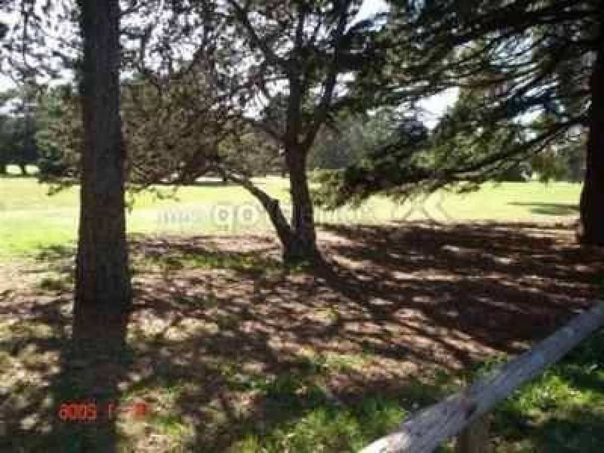  Land in Mar del Plata, Argentina No. 114056