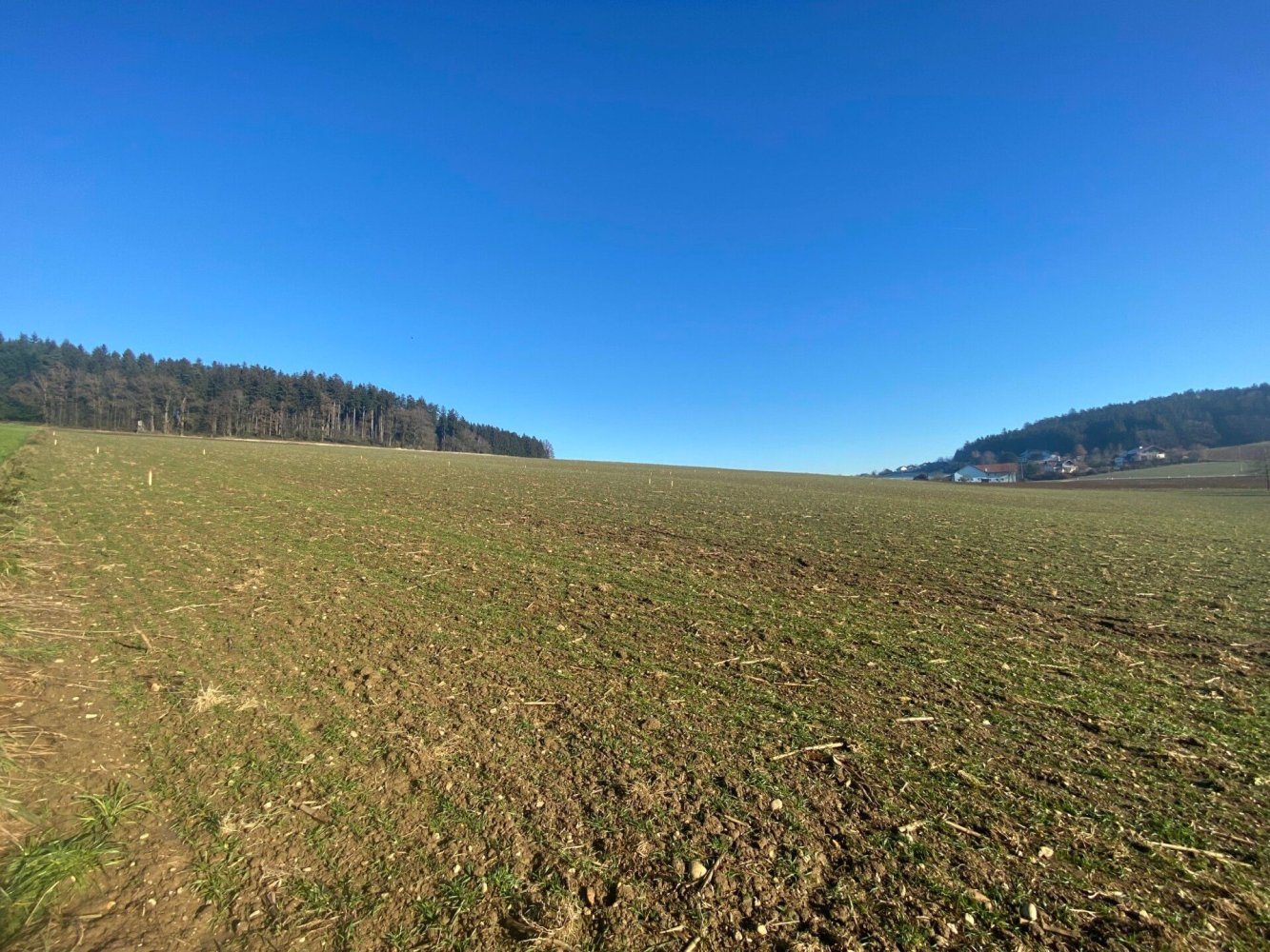  Land in Gurten, Austria No. 87007