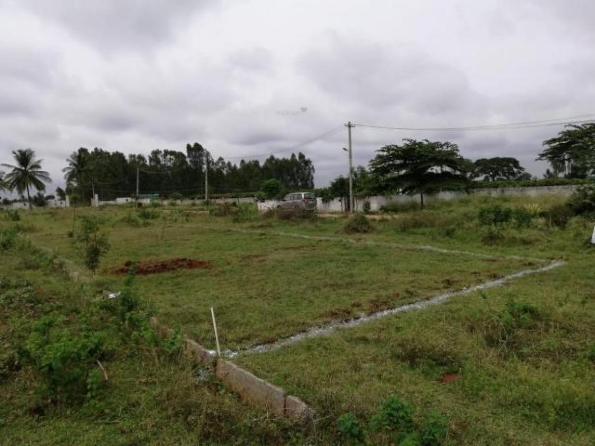  Land in Bangalore, India No. 30228