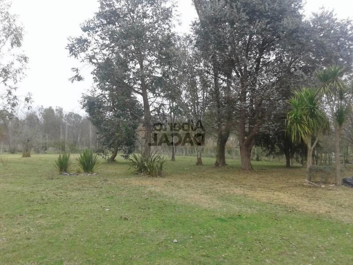  Land in Campo Creado, Argentina No. 36568