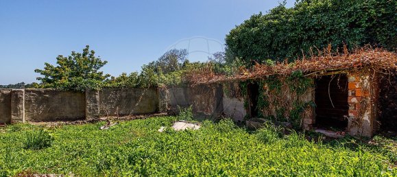 Casa de 1 dormitorio en Alcobaca, Portugal No. 33979 13
