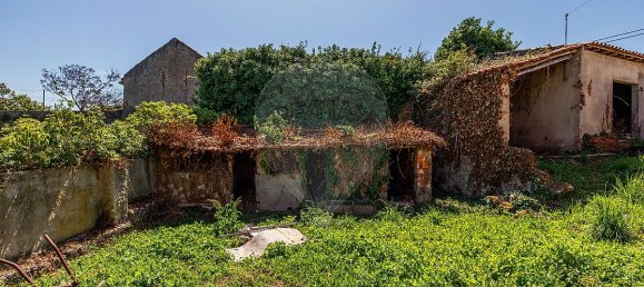 Casa de 1 dormitorio en Alcobaca, Portugal No. 33979 14