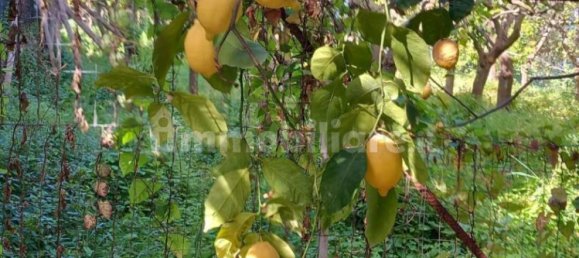 2 bedrooms Apartment in Massa Lubrense, Italy No. 350341 7