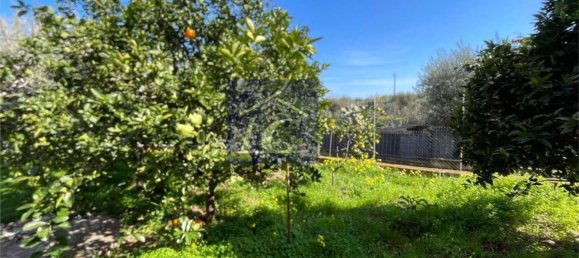 Apartamento de 4 habitaciónes en Altavilla Milicia, Italy No. 51197 24