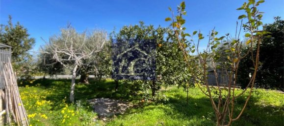 Apartamento de 4 habitaciónes en Altavilla Milicia, Italy No. 51197 25