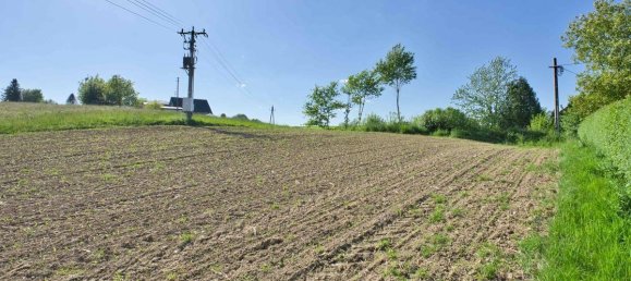  Land in Aurach am Hongar, Austria No. 213132 4