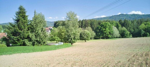  Land in Aurach am Hongar, Austria No. 213132 6