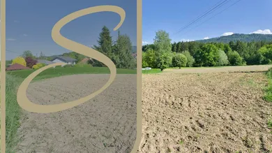  Land in Aurach am Hongar, Austria No. 213132