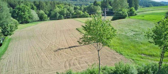  Land in Aurach am Hongar, Austria No. 213132 7