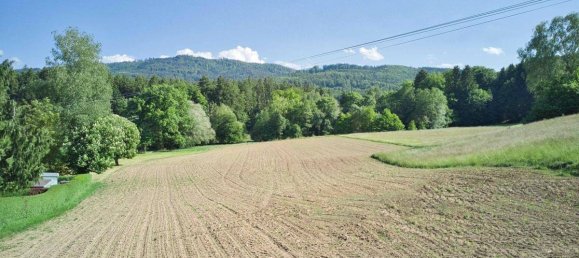  Land in Aurach am Hongar, Austria No. 213132 5