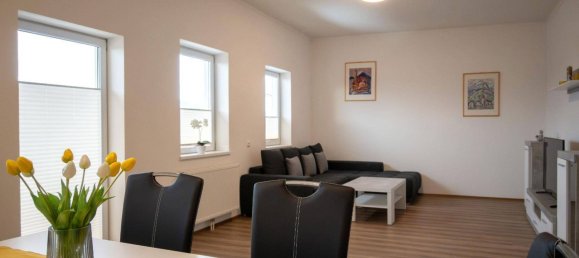 420m² Warehouse in Iselsberg-Stronach, Austria No. 25757 10