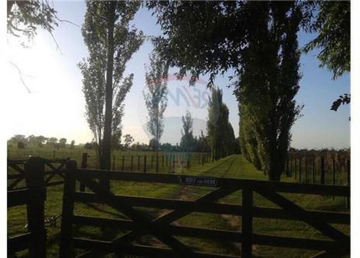 2 bedrooms House in San Andres de Giles, Argentina No. 56145