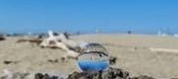 3-Zimmer Wohnung in Viareggio, Italy, Nr. 298264 24